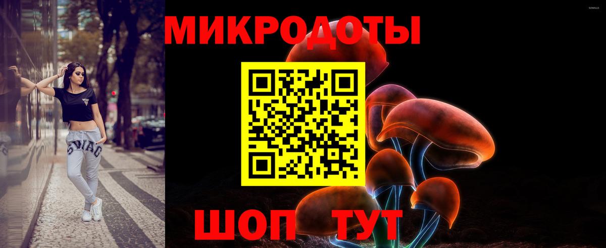 Псилоцибиновые грибы Cubensis Краснокаменск